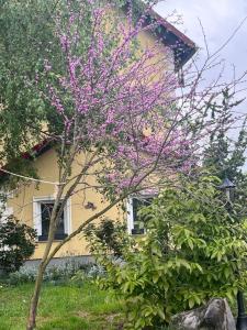 Afbeelding uit fotogalerij van Noclegi Pod Lasem in Lubrza