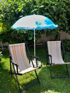 Zahrada ubytování VILA SREM