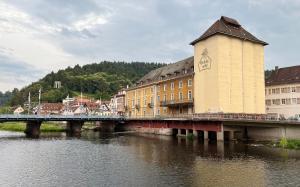 Příroda nedaleko apartmánu