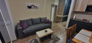 uma sala de estar com um sofá e uma mesa em Apartman Aca em Vrnjačka Banja