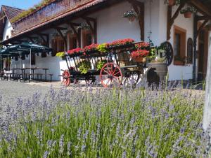 a carriage filled with flowers in front of a building at Penzion Restaurace u Helferů in Libuň