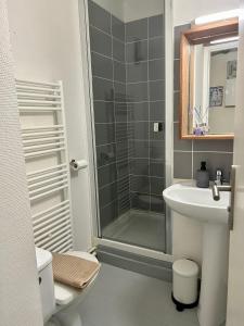 La salle de bains est pourvue d'une douche et d'un lavabo. dans l'établissement Appartement bords de l’Eure charmant studio, à Chartres