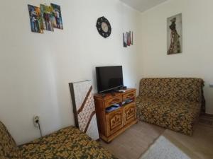 - un salon avec une télévision et une chaise dans l'établissement Igalo Apartman Despich, à Igalo