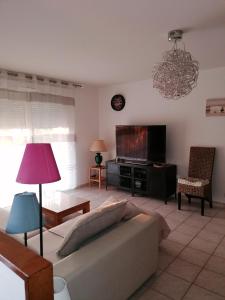 a living room with a couch and a flat screen tv at Escapade Audoise in Sallèles-dʼAude