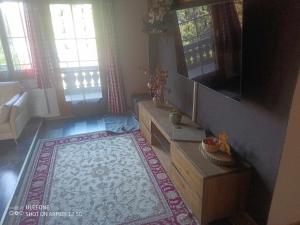 a living room with a television and a rug at Haldi Apartment in Klosters Serneus