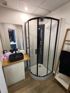a bathroom with a shower with a sink and a mirror at CocoonSPA LoveRoom Jacuzzi in Toulouse