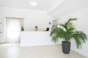 Vstupní hala nebo recepce v ubytování Menes Hotel + 37 fotografií