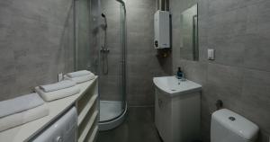 a bathroom with a shower and a sink and a toilet at Apartamenty Oświęcim klimatyzacja air-conditioned in Oświęcim