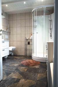 a bathroom with a shower and a toilet at Lofoten Villa in Reine +29 photos