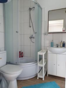 a bathroom with a shower and a toilet and a sink at Białe Domki in Będzino