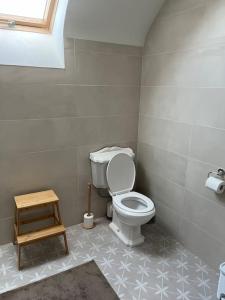 a bathroom with a white toilet in a room at Tom Rocky’s Farmyard in Templemore