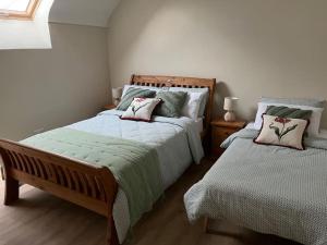 sypialnia z 2 łóżkami pojedynczymi i oknem w obiekcie Tom Rocky’s Farmyard w mieście Templemore