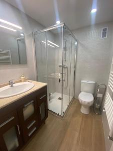 a bathroom with a shower and a toilet and a sink at Apartamentos Plaza del Arco in Caravaca de la Cruz