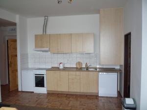 Kuchyň nebo kuchyňský kout v ubytování Apartmány Na Výtoni