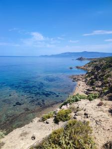 Παραλία σε ή κοντά σε αυτό το bed & breakfast