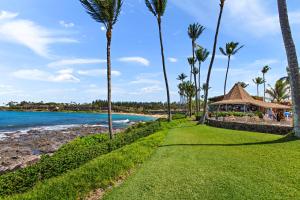un sentiero vicino alla spiaggia con palme di Napili Shores D132 a Kahana