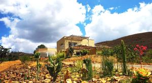 una casa en la cima de una colina con cactus en Hotel Alma, en Villa de Leyva