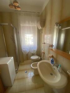ein Bad mit einem Waschbecken, einem WC und einer Dusche in der Unterkunft Appartamento Peschici in Peschici