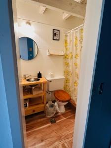 a bathroom with a toilet and a sink and a mirror at House in El Chalten