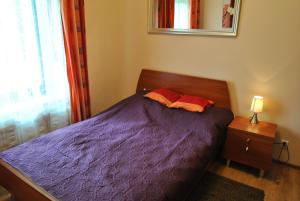 a bedroom with a bed with purple sheets and a mirror at Apartamenty Belweder - Sun Seasons 24 in Wisła