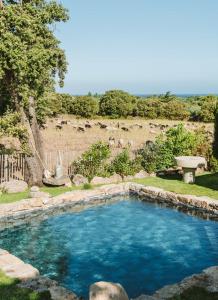 a swimming pool in a yard with a fence at Residence CASE DI PI GNA, deux magnifiques villas indépendantes avec piscines individuelles , proches de la plage d'Algajola in Algajola