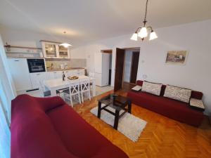 Kuchyňa alebo kuchynka v ubytovaní Apartment Novi Vinodolski 2423a