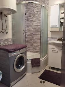 a washing machine in a bathroom with a shower at Apartments with WiFi Vis - 19923 in Vis