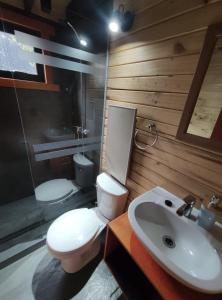 ein Badezimmer mit einem weißen WC und einem Waschbecken in der Unterkunft M Refugios, Termas de Chillán in Pinto