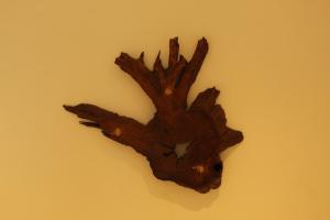 a wooden animal head hanging on a wall at Kandy Lotus House in Kandy
