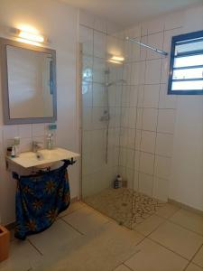 Kúpeľňa v ubytovaní Beau T3 proche plage secteur Montabo à Cayenne