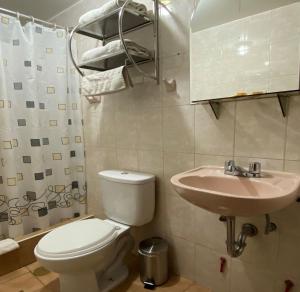 a bathroom with a toilet and a sink at Hostal Saphi - Excelente ubicación in Cusco