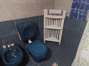 baño con aseo azul y estante en Pilpilcura en Dina Huapi