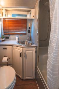 Cuisine ou kitchenette dans l'établissement Secluded Airstream with Hot Tub, Wifi, BBQ, AC
