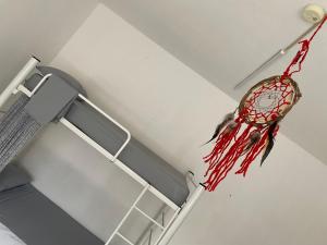 Fotografie z fotogalerie ubytování Vive Alegria Hostel v destinaci Puerto Vallarta