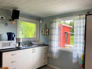 cocina con fregadero y ventana en Holiday home FÄRGELANDA VI en Färgelanda