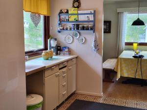 Holiday home Reinfjord في Spildra: مطبخ مع كونتر وطاولة في الغرفة