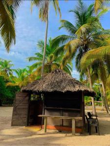 Cabaña con techo de paja en una playa con palmeras en Cabanas Las Estrellas, en Palomino