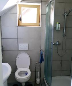 łazienka z toaletą i prysznicem z oknem w obiekcie Hadam's Apartments w Bledzie