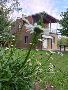 una flor blanca delante de una casa en Chacras casa Armonia en Chacras de Coria