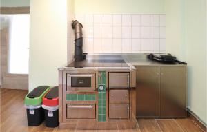 a kitchen with a stove and two trash cans at Awesome Home In Oberhaag With 1 Bedrooms in Oberhaag