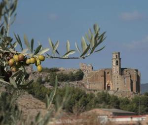 Fotografie z fotogalerie ubytování Loft Castelló v destinaci Castelló de Farfaña