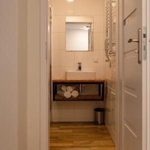 ein Bad mit einem Waschbecken und einem Spiegel in der Unterkunft Las i woda in Przywidz
