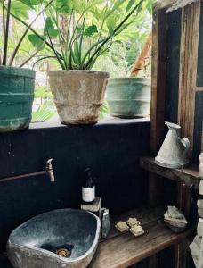a bathroom with a sink and potted plants on a window at Whitewater Byron Bay in Byron Bay +21 photos