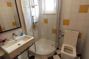 a bathroom with a shower and a toilet and a sink at Rosa apartment Mirca in Mirce +39 photos