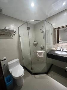 Galaxy Airport Hotel في مدينة هوشي منه: حمام مع دش ومرحاض ومغسلة