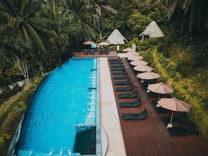 Aonang Fiore Resort - SHA Extra Plus في شاطيء آونانغ: مسبح بكراسي ومظلات بجانب مسبح