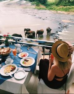 a woman sitting at a table watching elephants in the water at Hotel Elephant Park "Grand Royal Pinnalanda" in Pinnawala