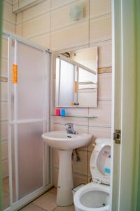 金寧鄉的住宿－金門幸福樹舍背包客棧民宿，一间带水槽、卫生间和镜子的浴室