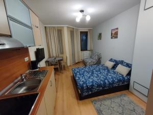 a kitchen and a living room with a bed and a sink at Borovets Villa Park studio in Borovets