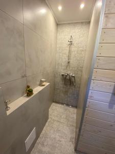 een badkamer met een douche en een wastafel bij Forest house in Targanice